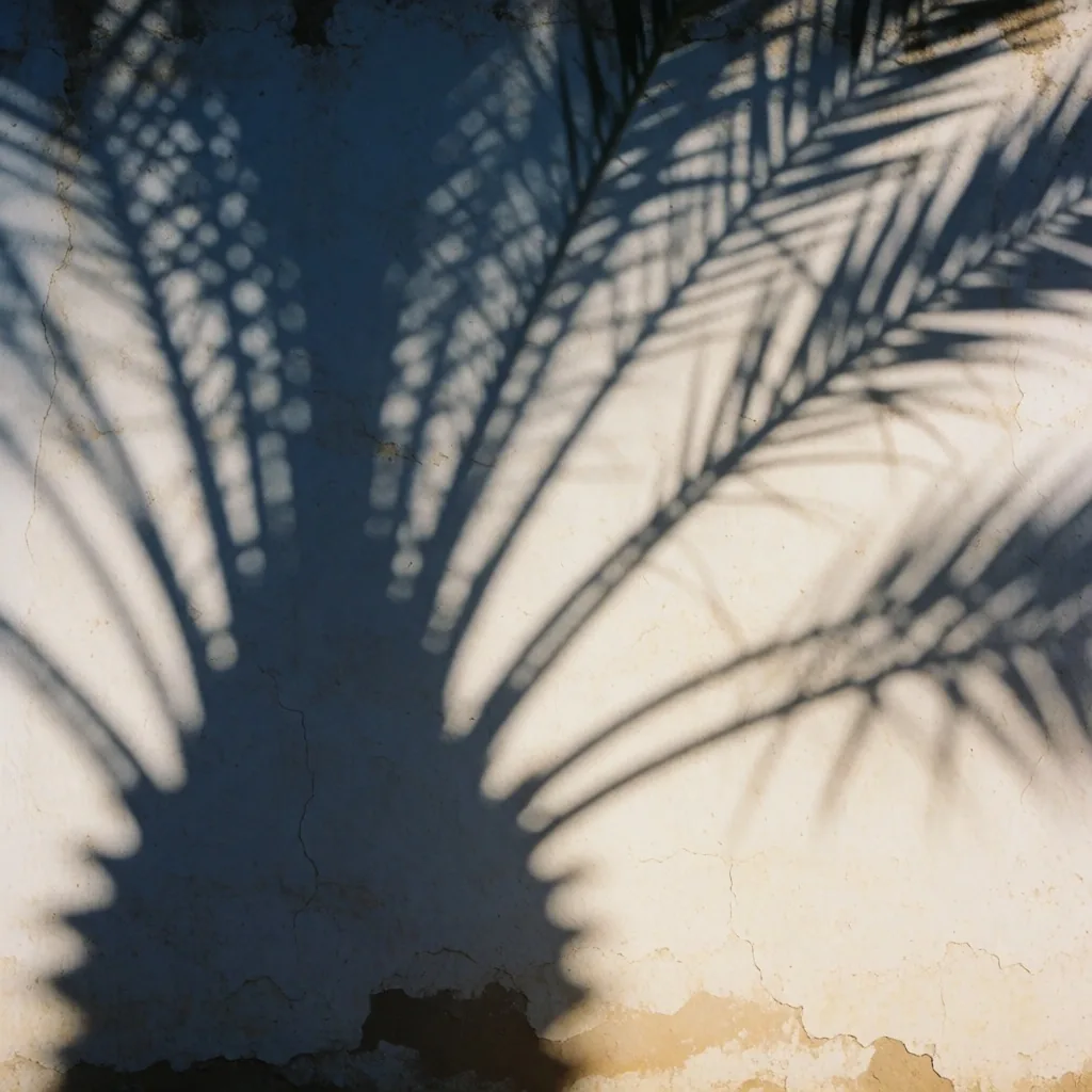 Palm frond shadows cast across a plaster wall at dusk