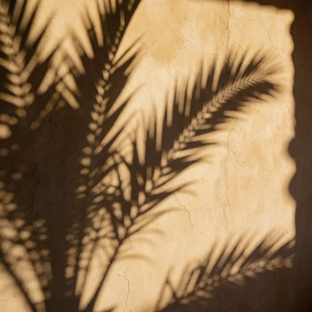 Palm frond shadows across a pale plaster wall