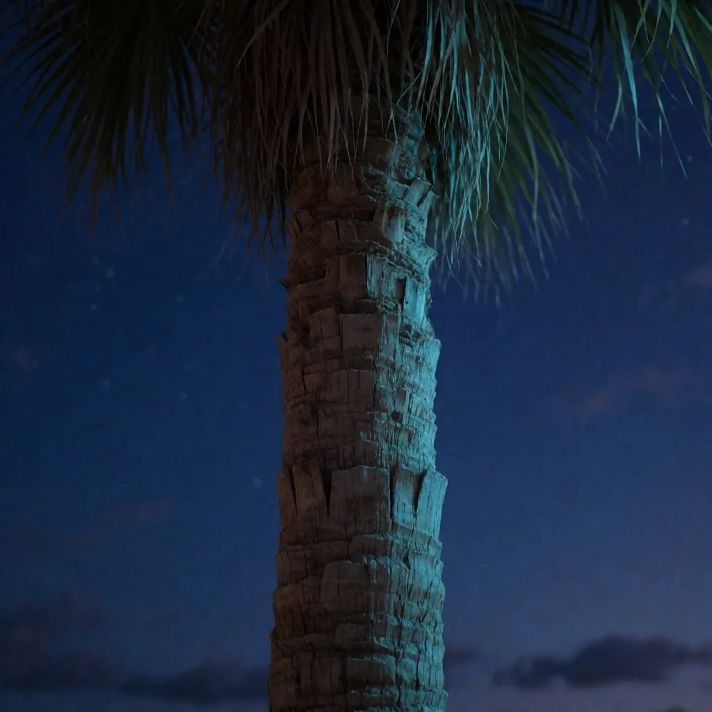 Single palm trunk under deep indigo sky
