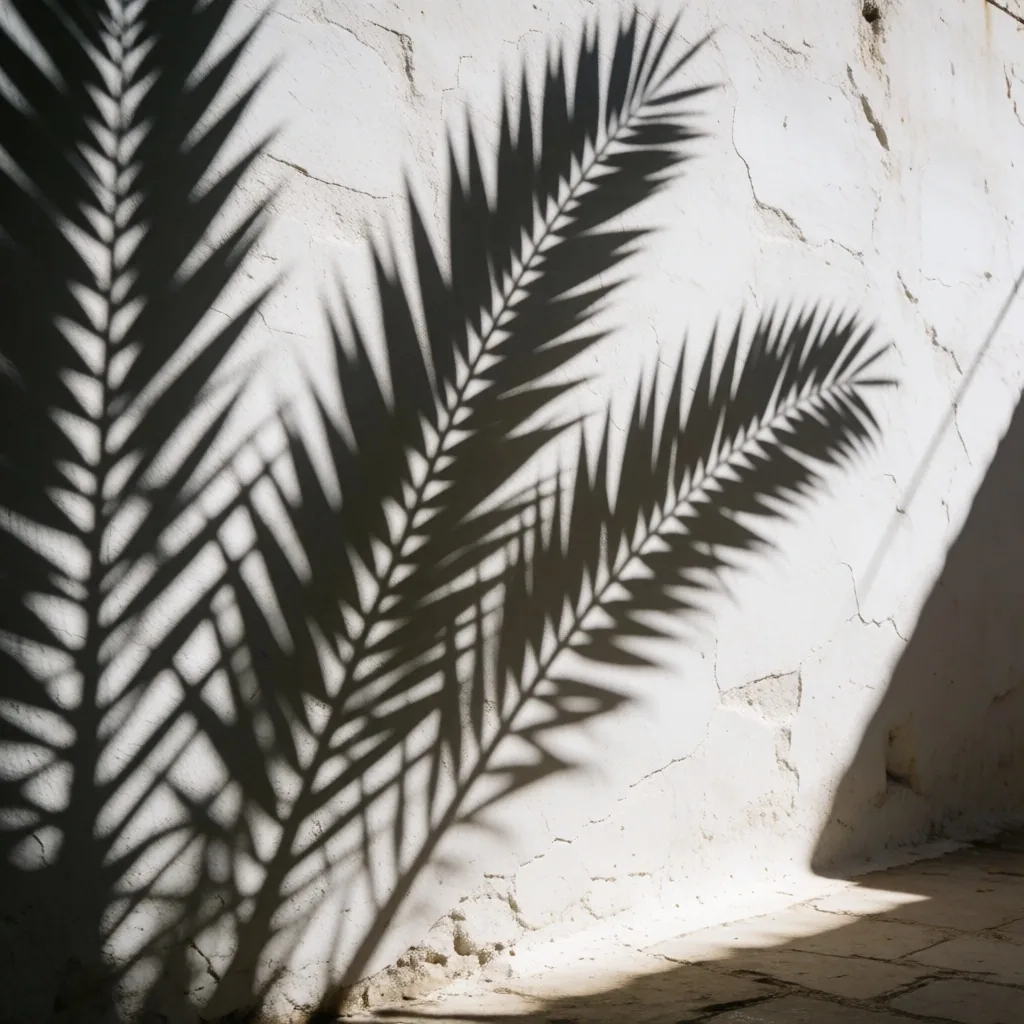 Palm frond shadows on a plaster wall
