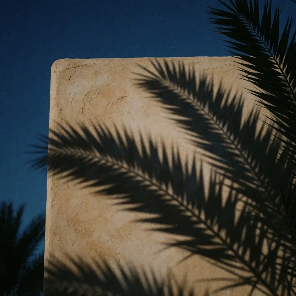 Palm frond shadows on a plaster wall at dusk