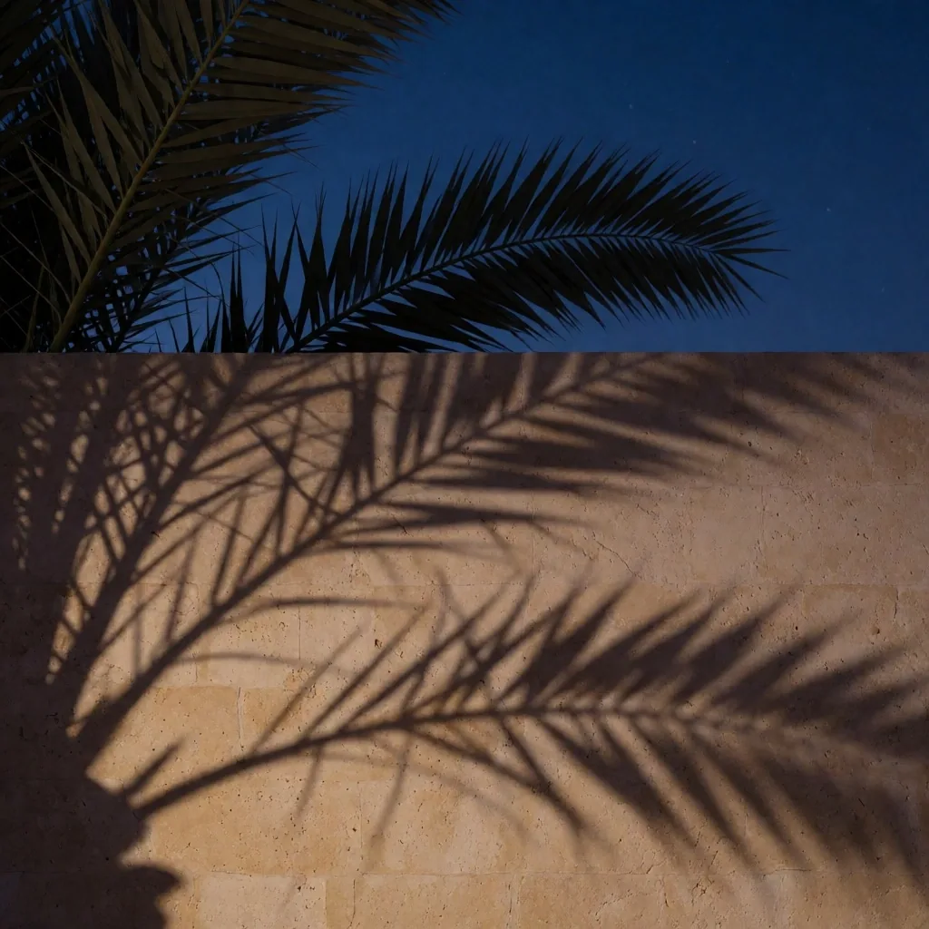 Palm fronds casting shadows against a stone wall at dusk